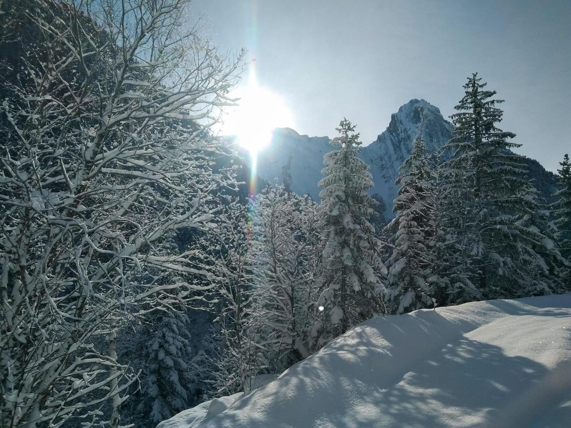 Le Refuge Du Poete Lejlighed Saint-François-de-Sales Eksteriør billede